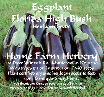 eggplant fl market