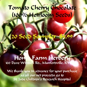 tomato cherry-chocolate