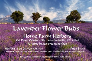 Chemical Free Lavender Flower Buds