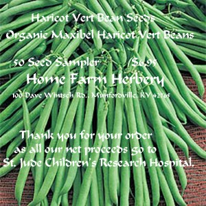 beans haricot vert seeds 50 ct