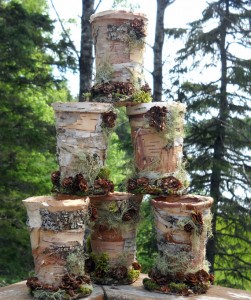 Birch Vases google