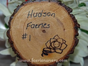 Hudson on wooden stand