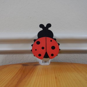 Ladybug_1A