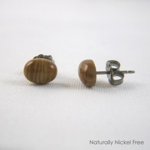 Scenic Jasper Titanium Post Earrings