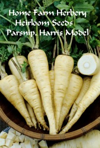 parsnip HFH