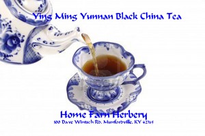 ying ming yum blkchinaTjpg