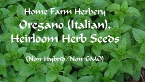 Oregano italianHFH