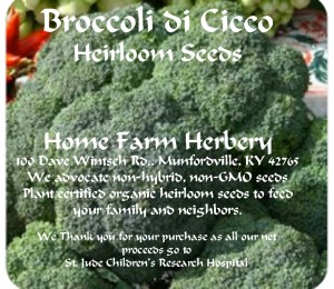 broccolidicco