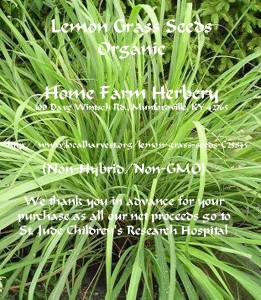 lemon grass seeds