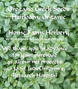 oregano greek