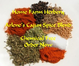 cajunspicemix