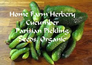 cucumber parisian pickling