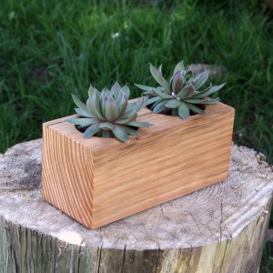 succulent 2 planter