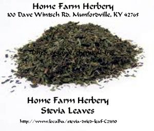 stevia leaf