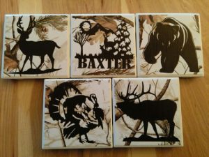 Wildlife Coasters