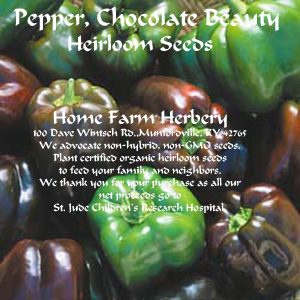 pepper chocolate beauty