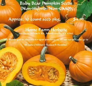 Baby-Bear-Pumpkin-Seeds-