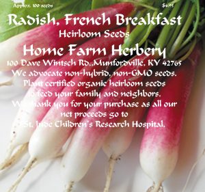 radish french breakfast