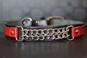 Custom dog collar