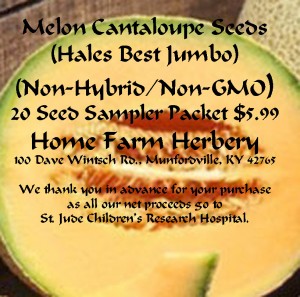 Melon-Hales-Best_jumbo