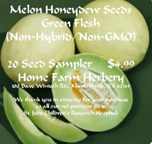 melon-honeydew-green-flesh