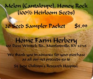 melon honeyrock