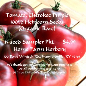 tomato cherokee-purple