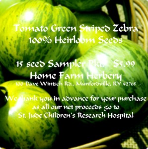 tomato green-zebra