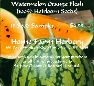 watermelon orangeflesh