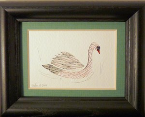 quilled swan