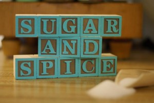 sugar and spice word blocks baby decor handmade