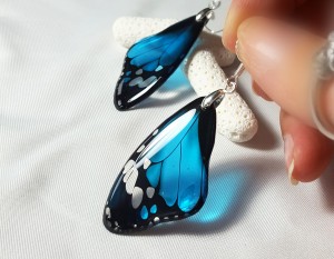 earrings_blue