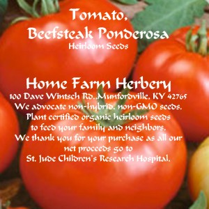 Tomato-Beefsteak-Ponderosa