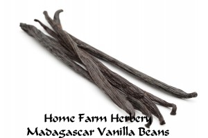 Vanilla beans 5 hfh
