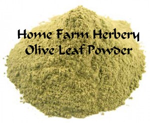 olive_leaf_powder