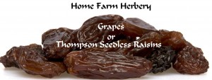 thompson seedless grapes