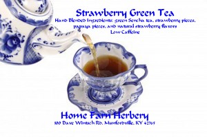 Strawberry Green TeaHFH