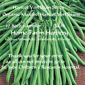 beans haricot vert seeds web