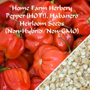Pepper Habanero Red HFH