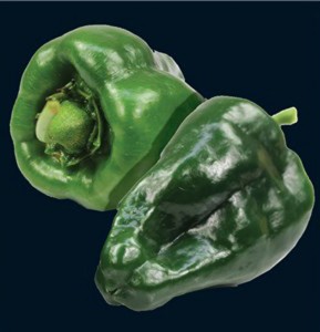 Poblano pepper green