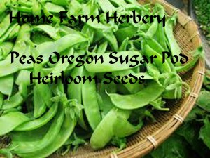 peas oregon sugar snapHFH