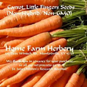 Carrot-Little-Fingers