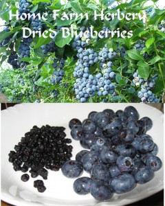 blueberry merge