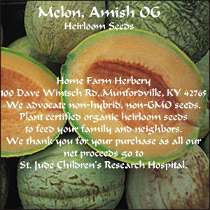 melon amish og