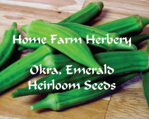 Okra-Seeds emerald HFH