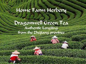 dragonwell green tea HFH