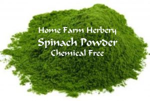 Spinach-Powder HFH