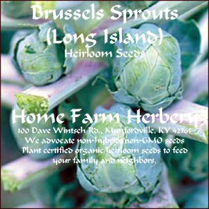 brussels sprouts Long Island