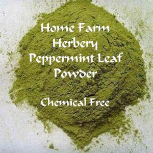 peppermin leaf powder HFH
