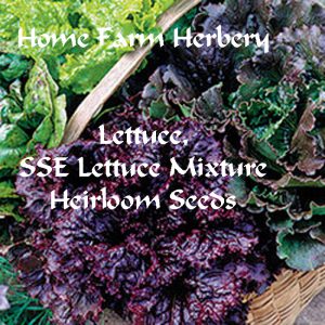 Lettuce SSE Lettuce mixtureHFH